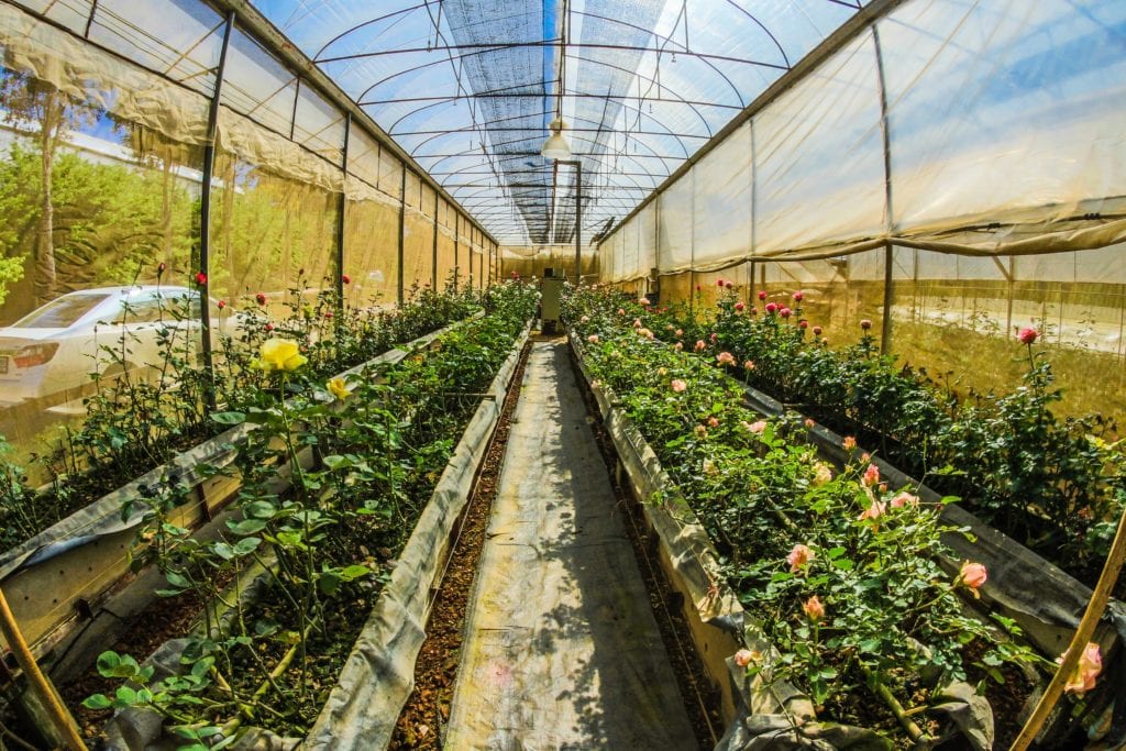 Greenhouse Climate Control Using Wireless Data Loggers - CAS
